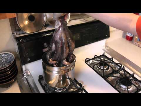 how to properly cook octopus