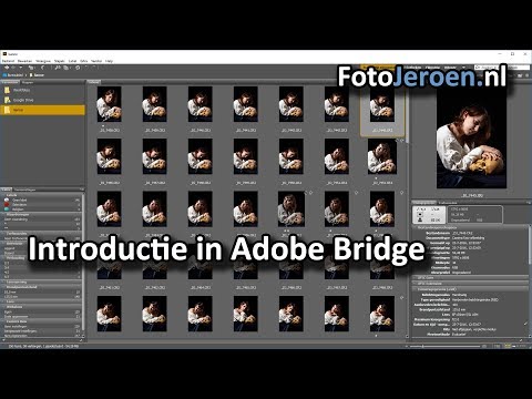 Introductie in Adobe Bridge (Photoshop)