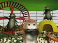 Happy, Happy, Hamster
