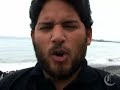 una lobita marina es devuelta al mar