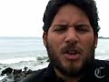 una lobita marina es devuelta al mar