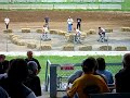 bar stool races bar stool races