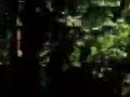 New York Central Park. Audio Production