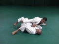 Gracie Insider - Reverse... View Video