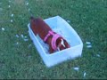 Bostons on Ice