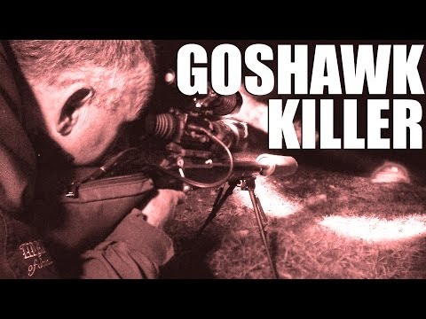 Goshawk Killer
