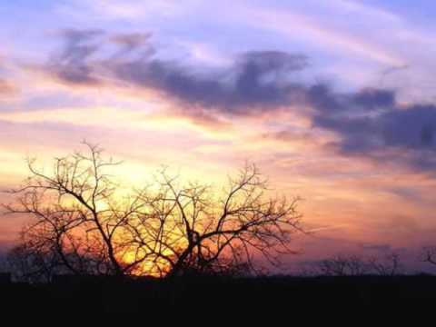 Psalm 8, A visual meditation