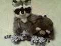 LA-Z-BOY RACCOON