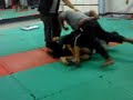 Montinho Montinho