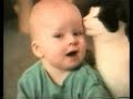 Crazy Kitties