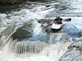 Little Rocky Glenn Carnage? South Branch Tunkhannock Little Rocky Glenn Carnage? South Branch Tunkhannock