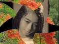 nỗi buồn hoa phượng