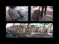 TRANTASIA - Transsexuals Hit Las Vegas
