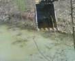 Aaron Crabtree running a trackhoe fixing a lakepart2