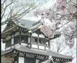 日本旅遊知識家～新潟（1）