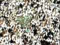 Saudi Arabia uses fighter jets against Yemeni Houthi rebels. Both Yemen  Saudi Arabia accuse Iran of arming the rebels. Why did Arab satellites carriers drop Iranian Al Alam TV? And will the war of proxies lead to a confrontation between Saudi Arabia and Iran ? For more info, visit us at www.linktv.org www.twitter.com