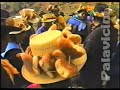 los super dorados de huaral RODEO COSTUMBRISTA