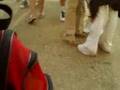 videos de Crazy Times At My Schooool