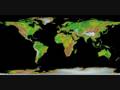 videos de What is Anti-Globalization?