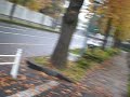 紅葉が綺麗