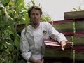 Chef Ed TV - 12 Pack