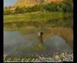 Dengb�j Salih� Qub�n�   Lokman Biraz�