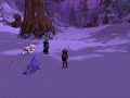Following