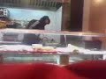 assassinio in panineria palermo