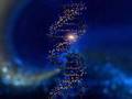 The Awakening of The  Cosmic Heart (The Core Rainbow)