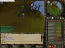 Luring Flax Autoers Luring Flax Autoers