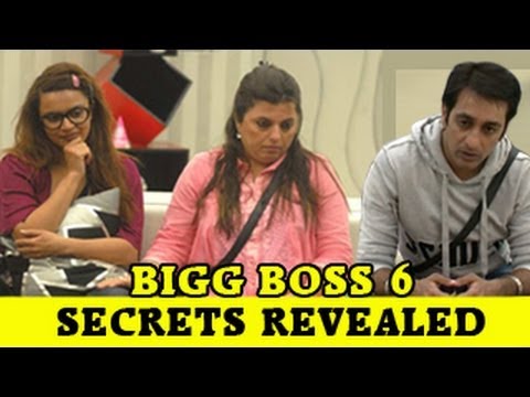 Delnaaz, Rajeev, Aashka's DARK SECRETS out on Bigg Boss 6