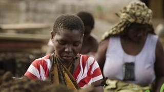 New video series: REDD+ and the future of African Forests