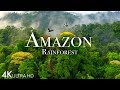 AMAZON 4K - THE WORLD’S LARGEST TROPICAL RAINFOREST PART 2 | ..
