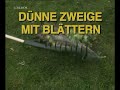Video Vorschau