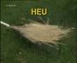 Wunderharke 5000