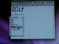Leopard、「はたけ」問題。
