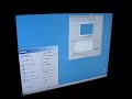 Parallels on dual monitors