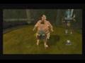 Legend of Zelda: Twilight Princess - Link Sumos
