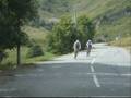 videos de CRSC 2008 (partie 2)