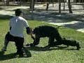 La tercera y ultima parte espero que os guste.. proximamente mas..