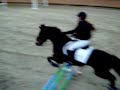 osca D3p ponam