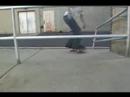 fghd