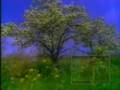 peygamberimiz efendimizin vefat�  b�l�m  2   nihat hatipo�lu