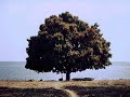 ___YouTube_____- surah ASH SHURA ~ 042 urdu translation,part B__.mp4
