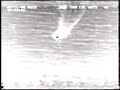 Coast Guard Top Drug Busts Video I Coast Guard Top Drug Busts Video I