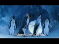 ||Happy Feet-Jump N Move||