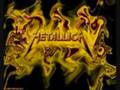 Fan Video for Metallica