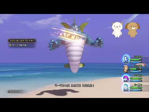 動画