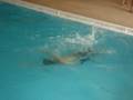 videos de maryland 038.mpg