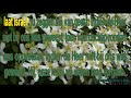 Psalm 124 vers 1 Ritmisch Karaoke Lyrics ..wmv